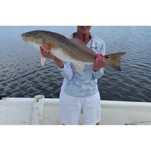 Meet your Posher, Penny